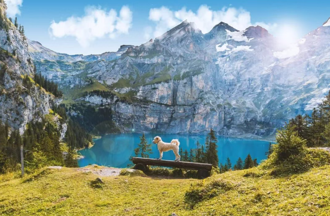 1764142122585634.png 31313131.png