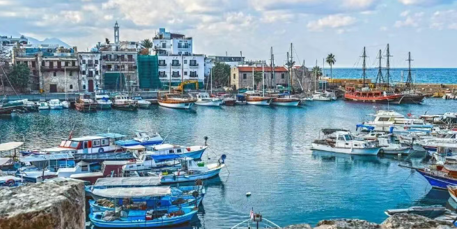 1765173437592846.png 55555555555.png