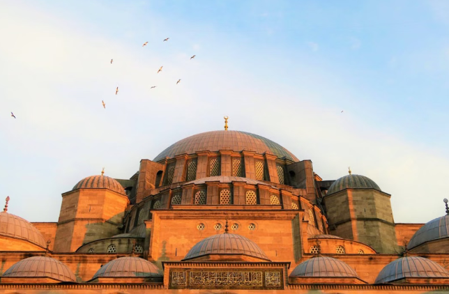 1765269431266684.png 777777777777.png