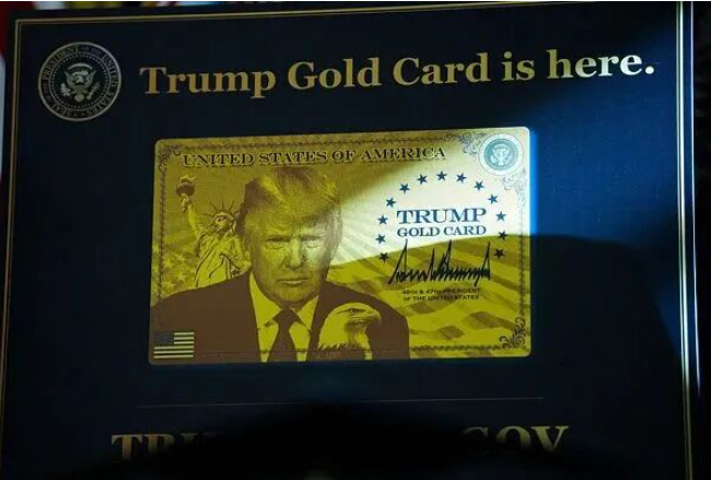 1765430832749697.png 888888888888888.png