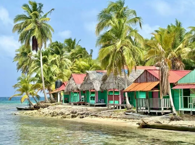 1765511499412064.png 414141.png