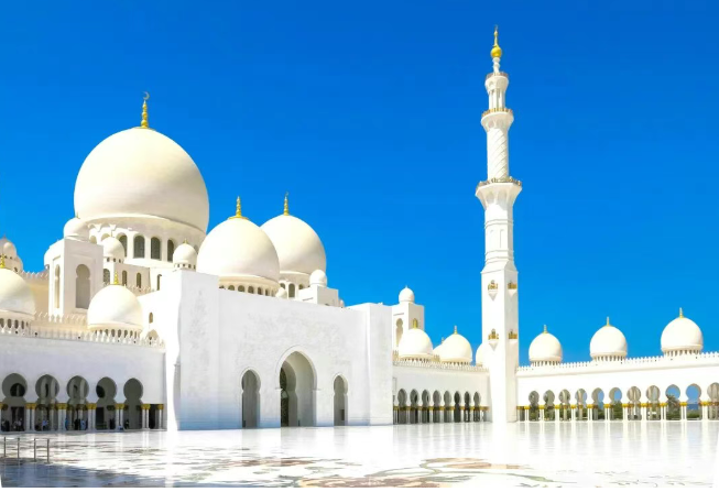 1769408532910070.png 232.png